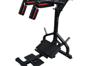 Vertical Knee Raise & Dip Machine